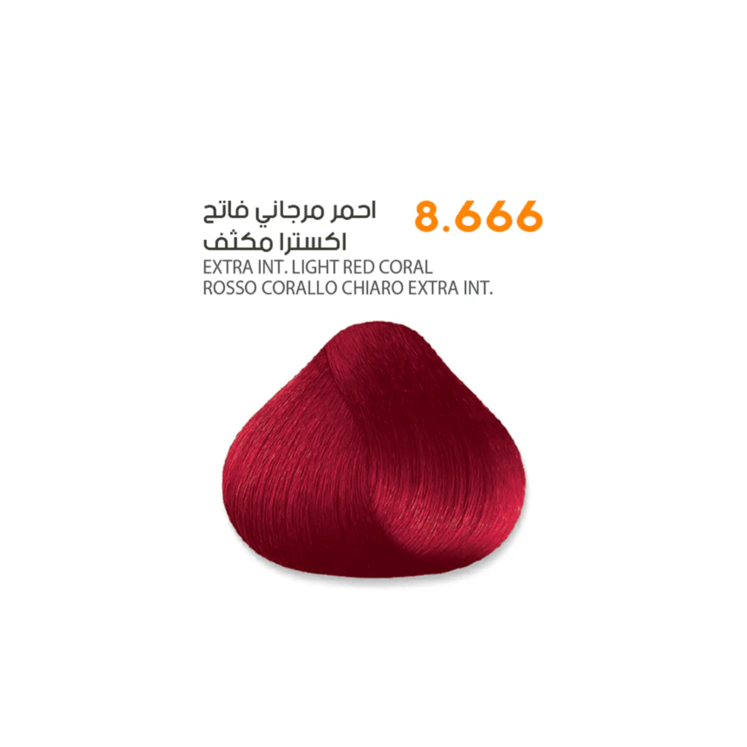 صورة المنتج 31